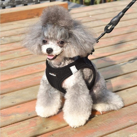 Dog Harness Step-in Breathable Puppy Cat Dog Vest Harnesses for Small Medium Dog - Picture 3 of 7